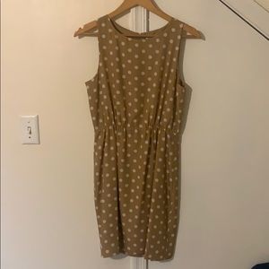 J.Crew tan with white polka dot dress size 6